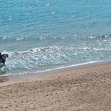 Sunset At Front - En La Playa En Piso Compartido * Табернес-де-Вальдигна